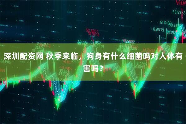 深圳配资网 秋季来临，狗身有什么细菌吗对人体有害吗？