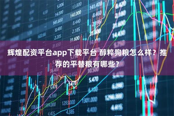 辉煌配资平台app下载平台 醇粹狗粮怎么样？推荐的平替粮有哪些？
