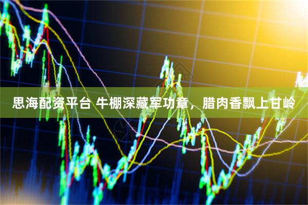 思海配资平台 牛棚深藏军功章，腊肉香飘上甘岭