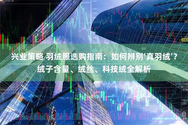 兴业策略 羽绒服选购指南：如何辨别‘真羽绒’？绒子含量、绒丝、科技绒全解析
